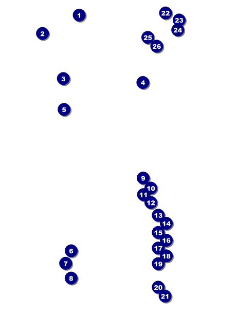Walk Club Flyer Front Field Markers
