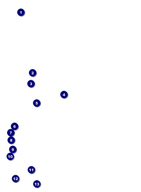 Leukemia Invitation Front Field Markers