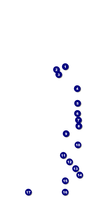 Travel VIP Pass Front Field Markers