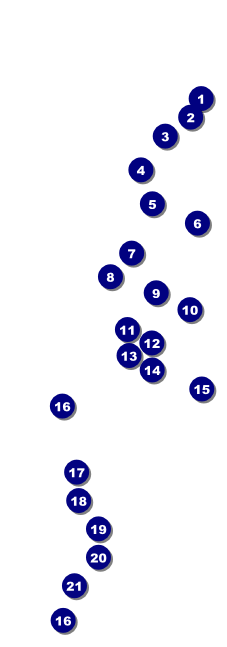 Chinese New Year Goat Raffle Ticket Front Field Markers