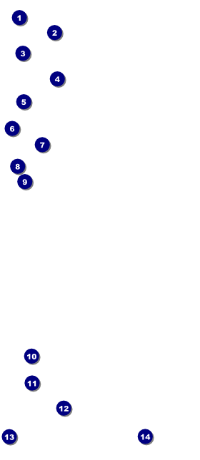Casino VIP Pass Front Field Markers