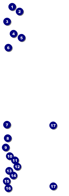 Blues Cruise Event Ticket Front Field Markers