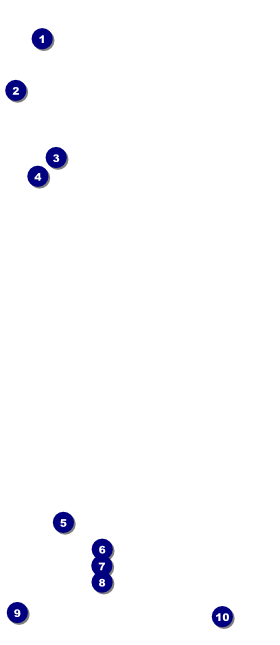 Blues Cruise VIP Pass Front Field Markers