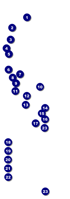 Reunion Raffle Ticket Front Field Markers