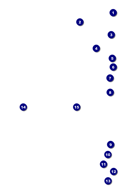 White Ribbon VIP Event Badge Small Front Field Markers
