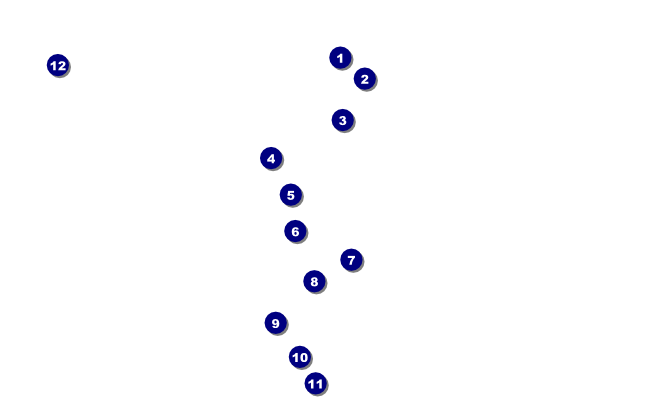 Violin VIP Event Badge Medium Front Field Markers