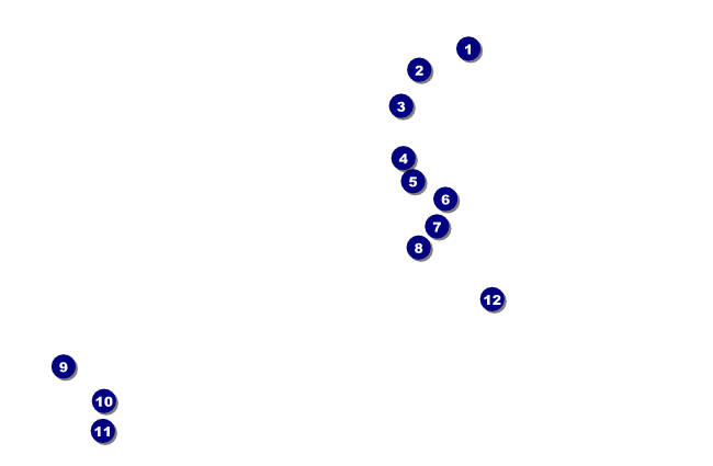 Triathlon VIP Event Badge Small Front Field Markers