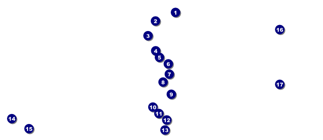 Triathlon VIP Event Badge Large Front Field Markers