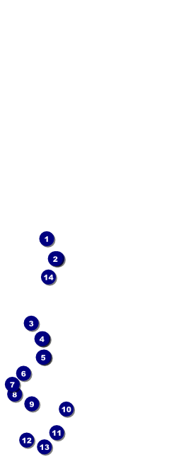 Carnival Table Tent Front Field Markers