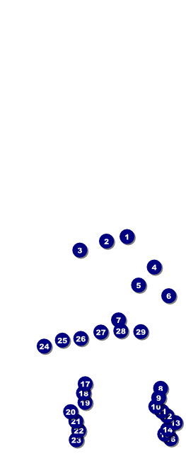 St. Patrick's Day Party Table Tent Front Field Markers