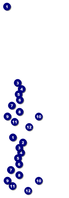 Cherry Blossom Reserved Event Ticket Front Field Markers