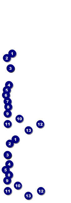 Golden Ornament Reserved Event Ticket Front Field Markers