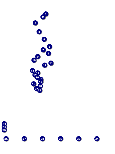 Connecticut Flyer with Image Upload Front Field Markers