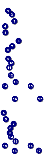 Christmas Angel Reserved Event Ticket Front Field Markers