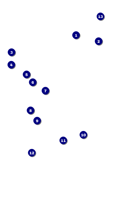 All Purpose Geometric Black and White Drink Ticket Front Field Markers