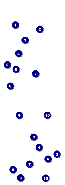 All Purpose Circles Black and White Event Ticket Front Field Markers