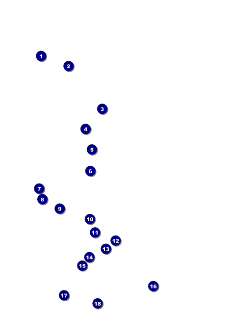 All Purpose Chalkboard Black and White Flyer Front Field Markers