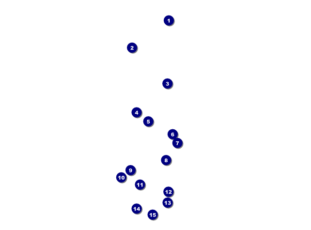 Spring Festival 2 Flyer Front Field Markers