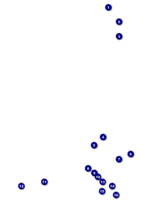 Curling Tournament Flyer Front Field Markers