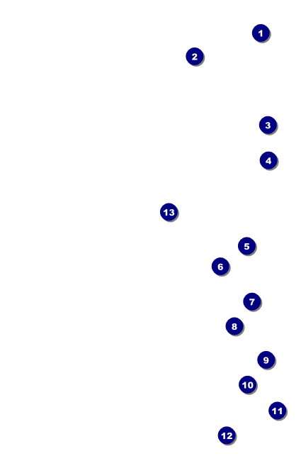 Billiard Tournament Drink Ticket Front Field Markers