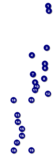 Chinese New Year Pig Raffle Ticket Front Field Markers