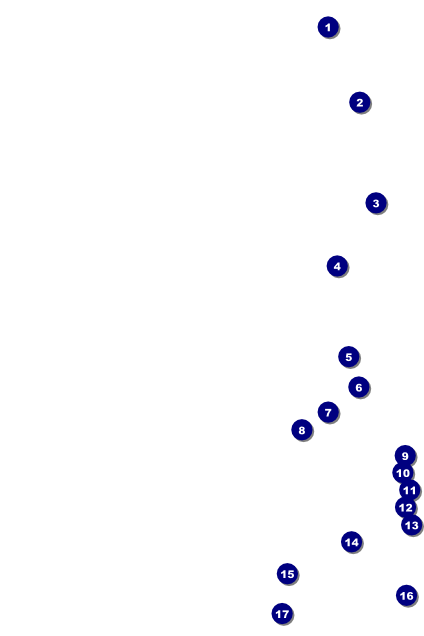 Black Friday Poster Front Field Markers