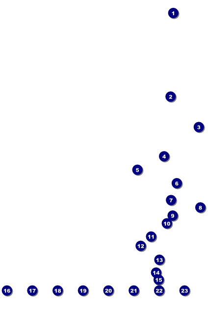 Swim Meet Image Poster Front Field Markers