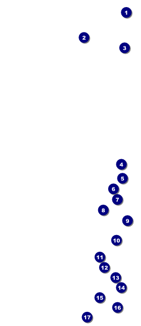 Jazz Dance VIP Pass Front Field Markers