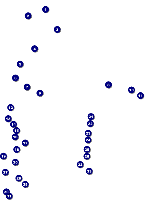MMA Main Event Brown Flyer Front Field Markers