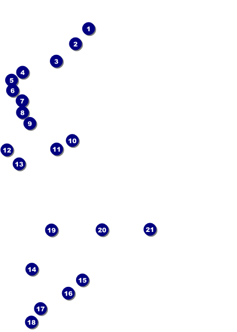 Winter Festival Postcard Mailer Front Field Markers