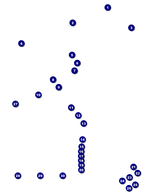 String Symphony Flyer Front Field Markers