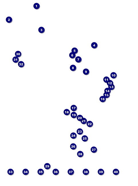 Rodeo Rustic Flyer Front Field Markers