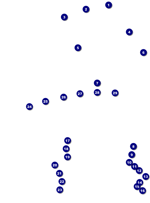 St. Patrick's Day Party Flyer Front Field Markers