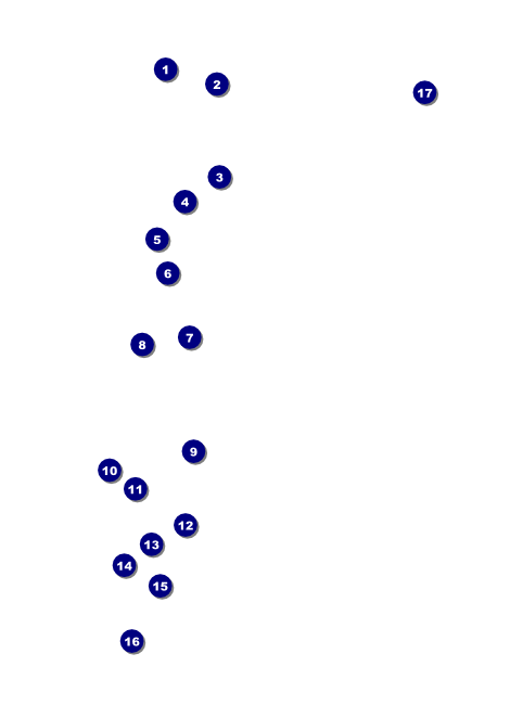 Fourth of July Freedom Blue Flyer Front Field Markers