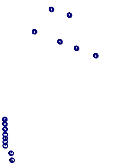 Charlotte Flyer Front Field Markers