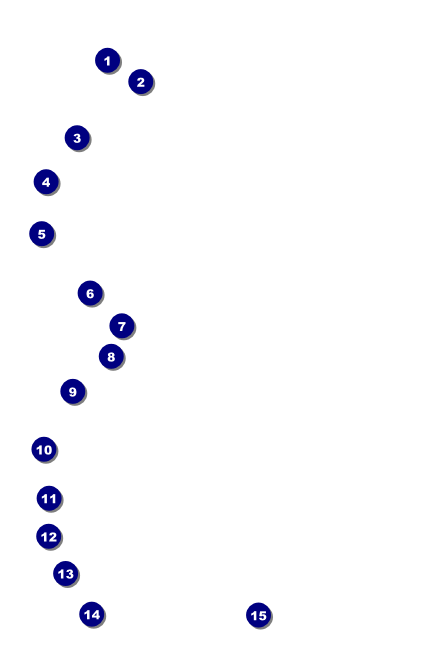 Spider Web Drink Ticket Front Field Markers