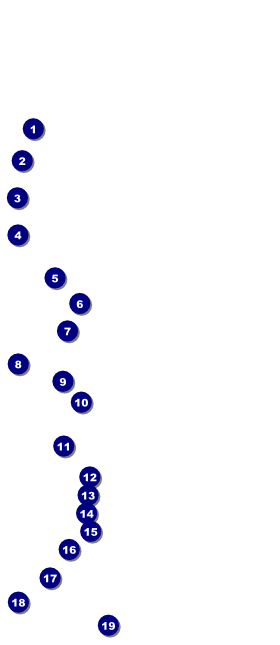 Spider Web VIP Pass Front Field Markers