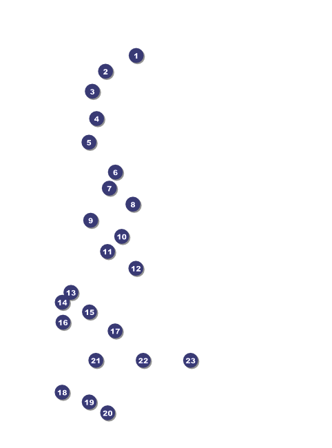 Stars and Stripes Flyer 002 Front Field Markers