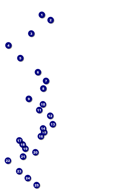 Haunted House Poster Front Field Markers