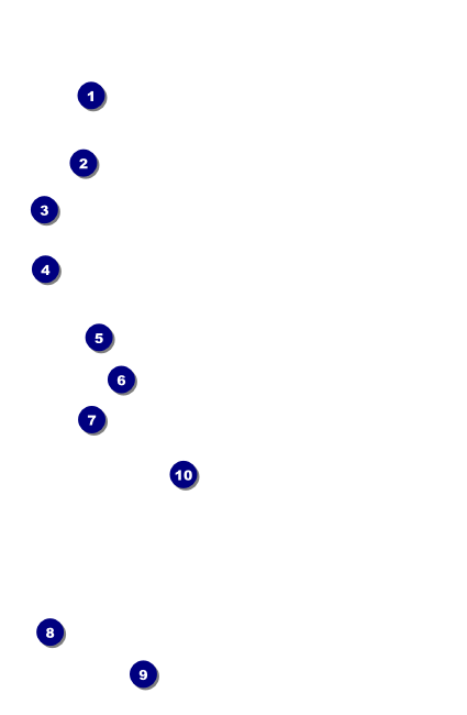 Spider Web VIP Event Badge Small Front Field Markers