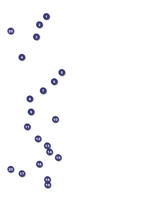 Year Flyer (Red) Front Field Markers