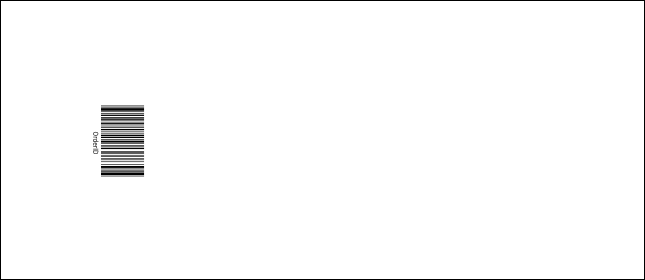 St. Patrick's Day VIP Pass Product Back