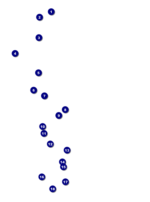 Graduation - Blue and Yellow Flyer Front Field Markers