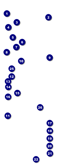 Graduation - Blue and Yellow Raffle Ticket Front Field Markers