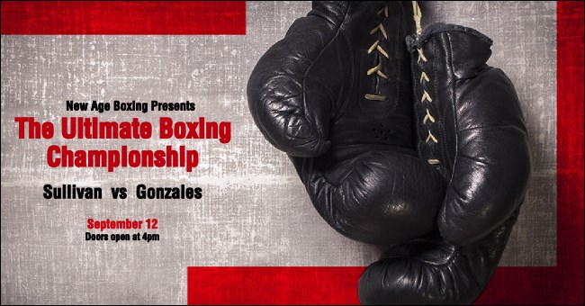 Boxing Gloves Twitter Ad