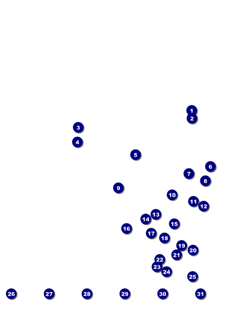 Los Angeles Flyer (black and white) Front Field Markers
