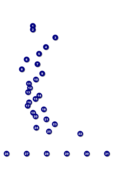 Aloha Flyer (black and white) with Image Upload Front Field Markers