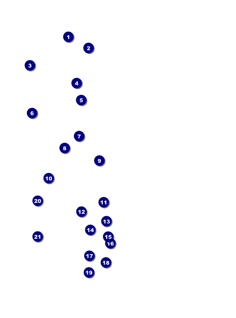 BBQ Vintage Logo Flyer Front Field Markers