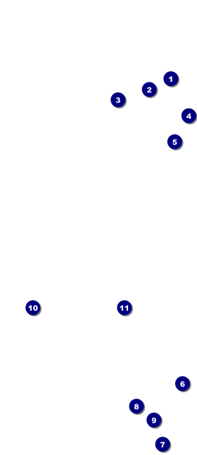 Dance Recital VIP Event Badge Large Front Field Markers