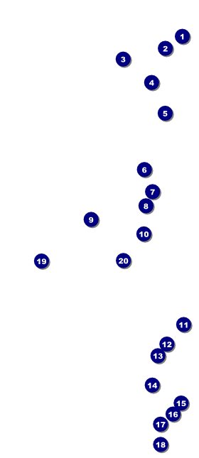 Dance Silhouette VIP Event Badge Large Front Field Markers